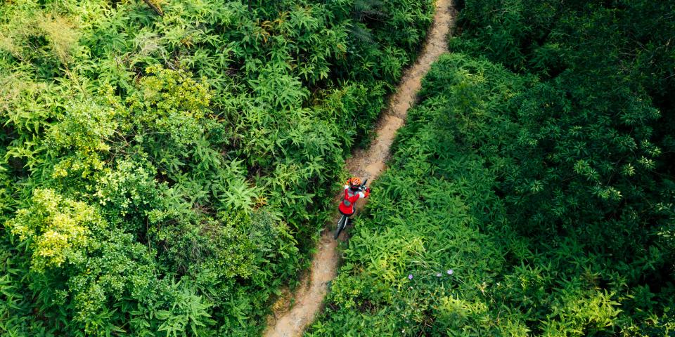 Overhead view of a bike trail