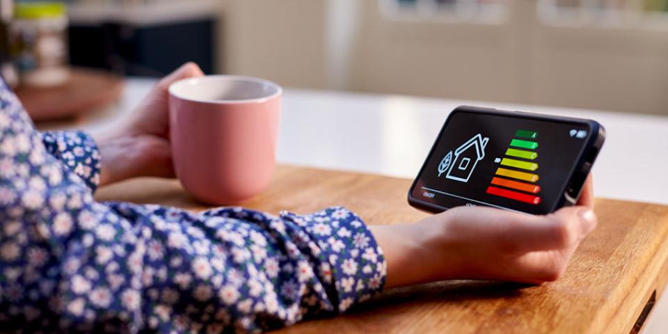 House smart meter