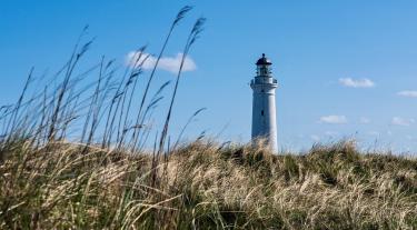 An anchor amid uncertainty? Getting the basics right with climate risk assessments 