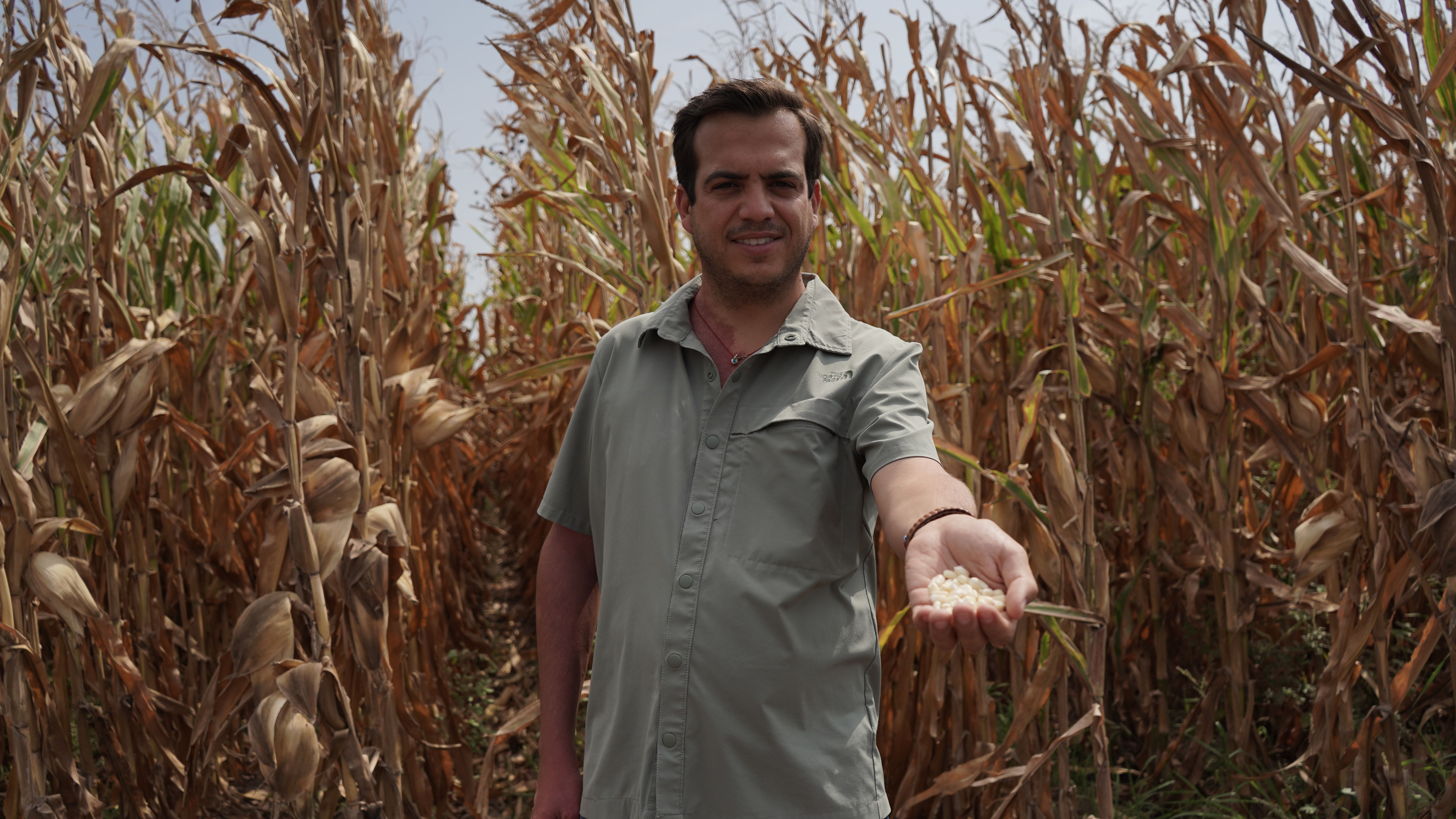 Person in a field with hand outstretched