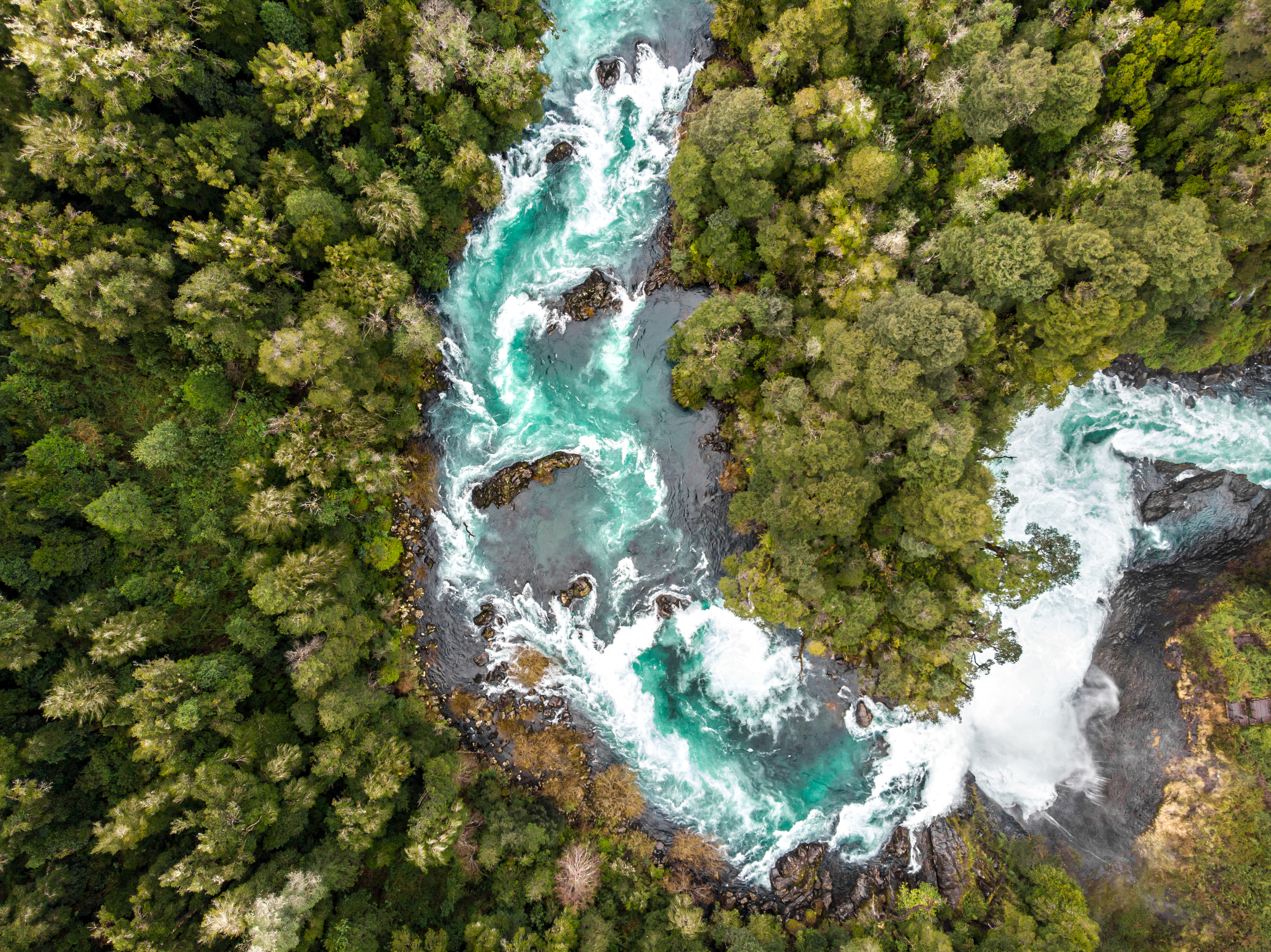 nature image