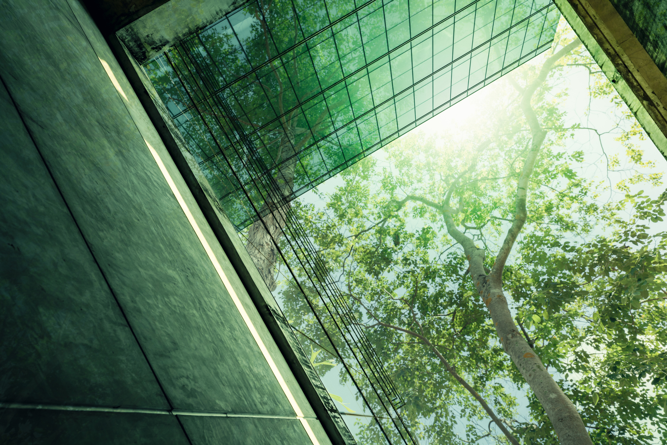 climate finance