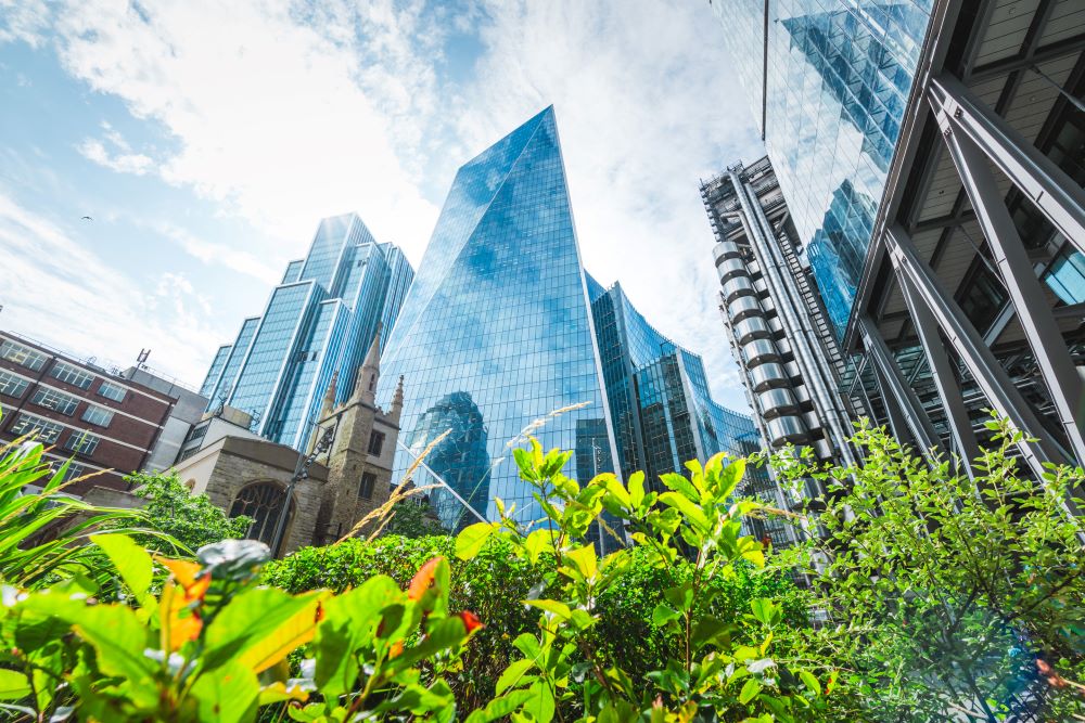 Office block buildings in a city with greenery on the ground