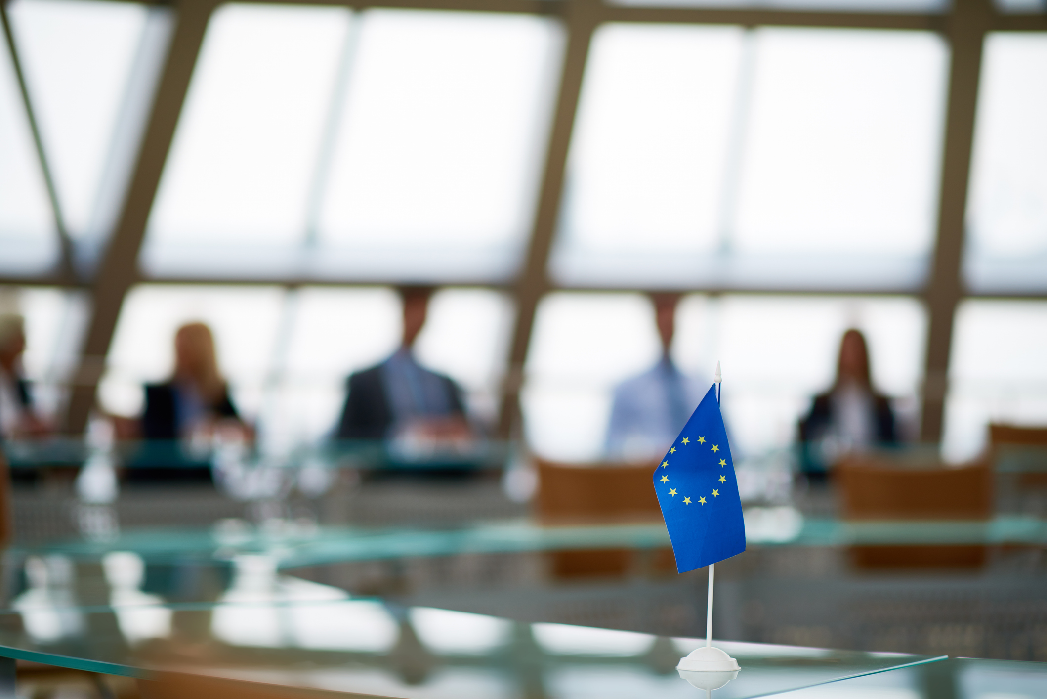 EU parliament meeting with EU flag