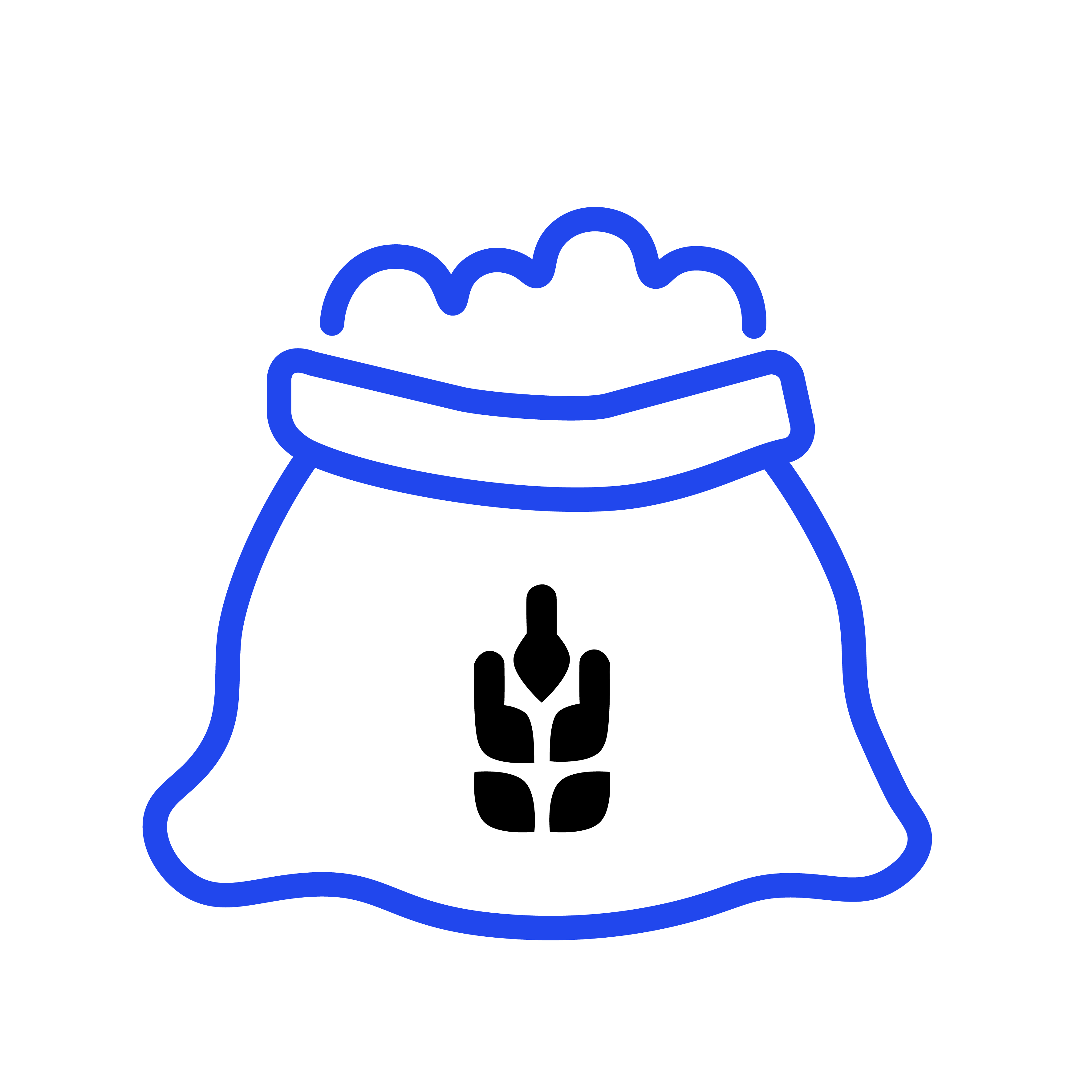 Agriculture sack