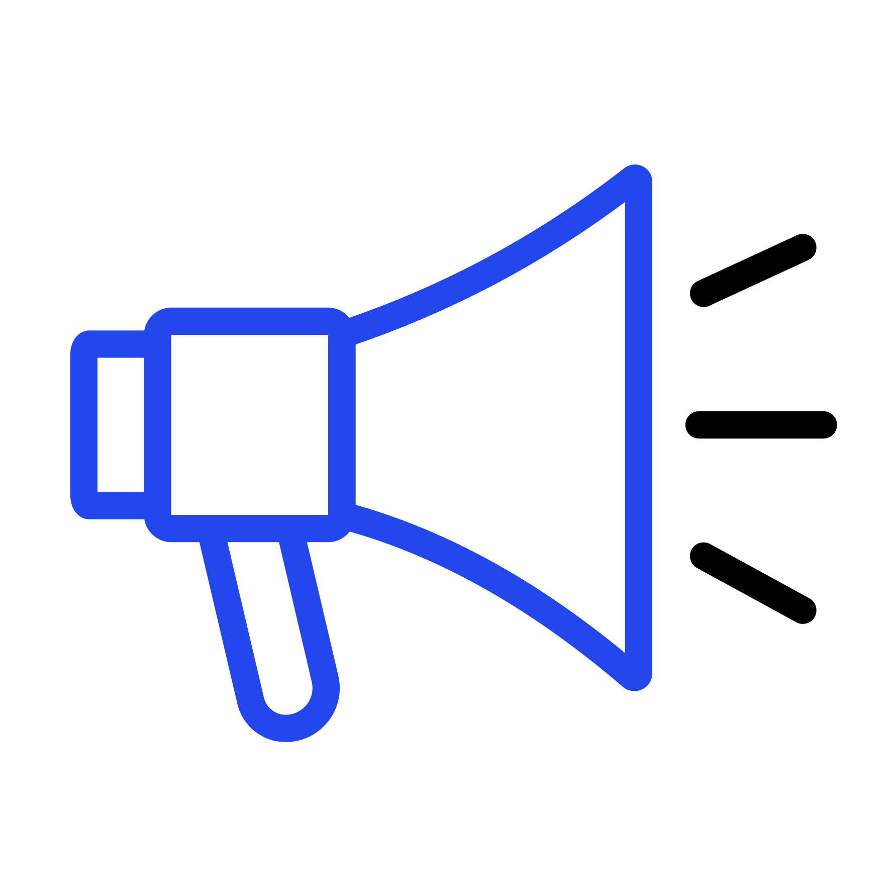 Mega-phone icon