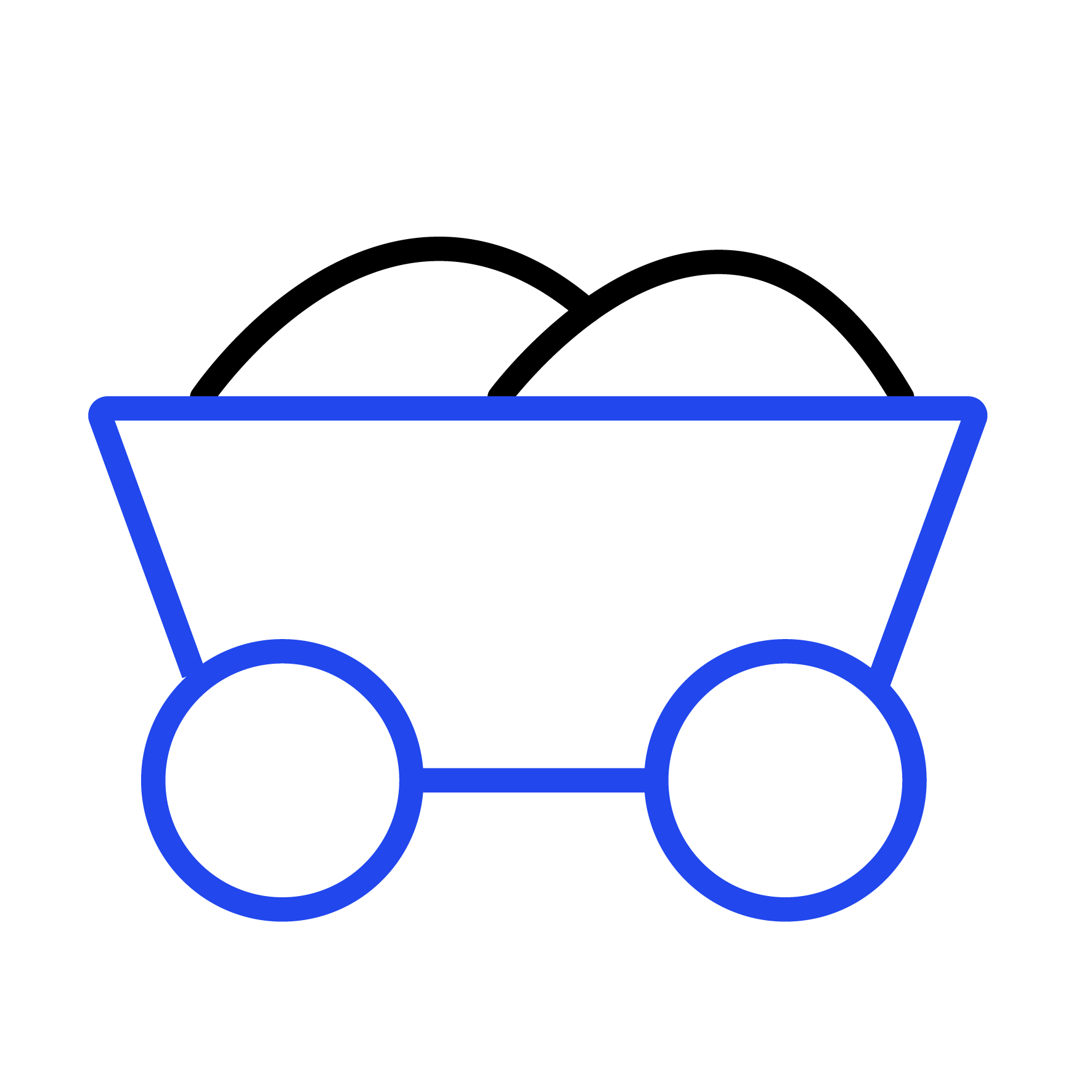 Coal