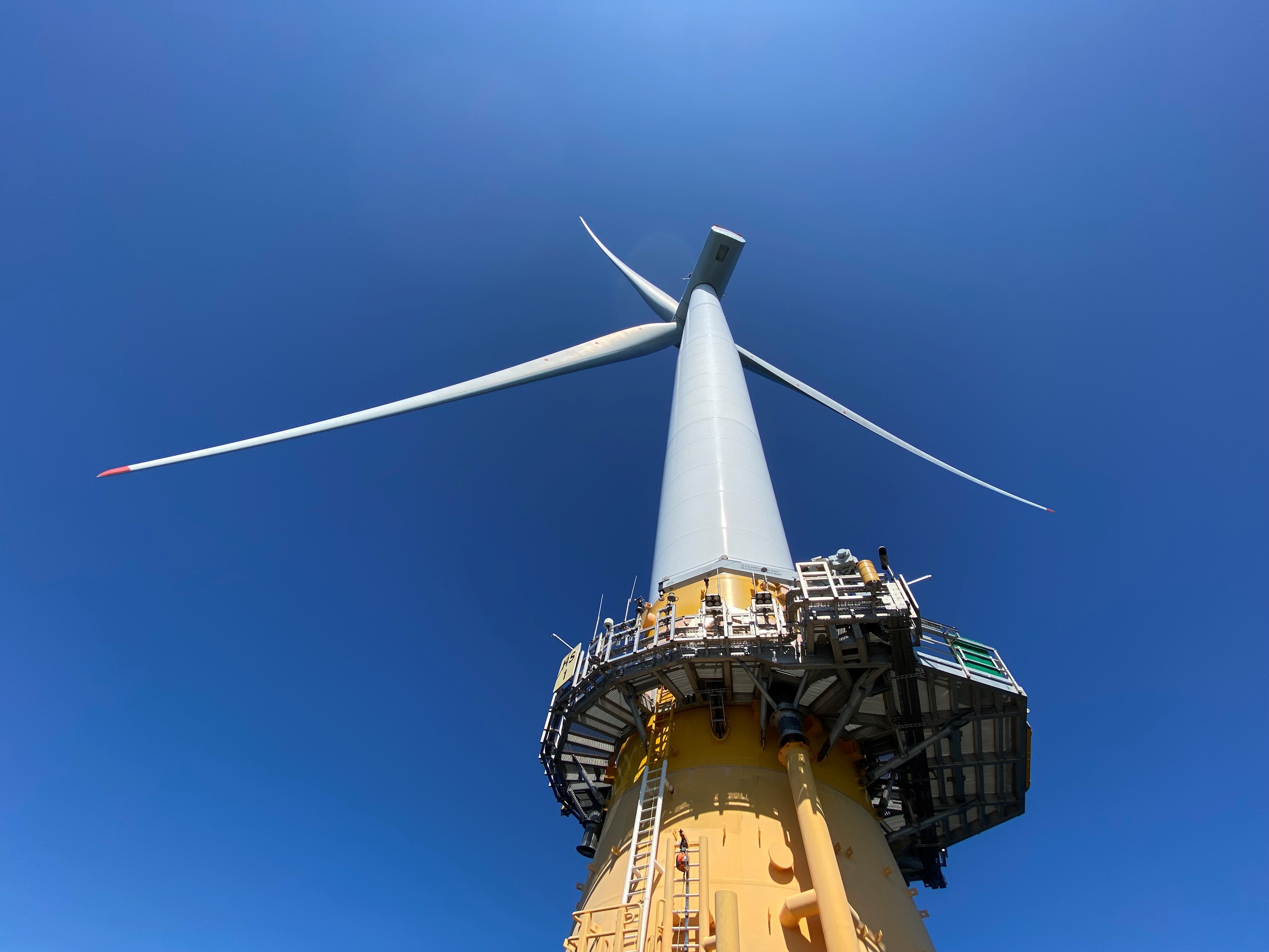 Credit Alistair Morris