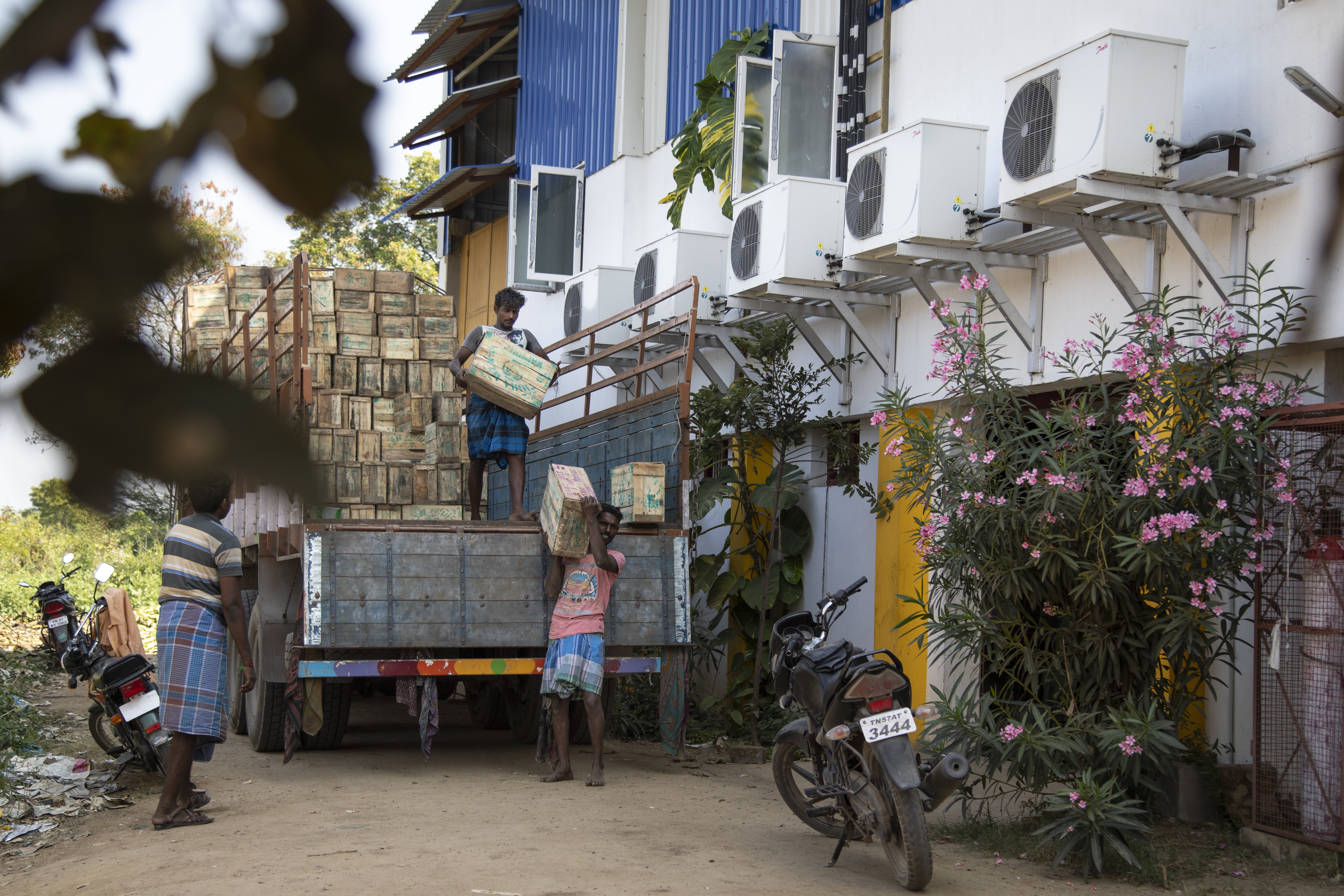 Danfoss Cooling image: India banana sellers using clean cooling