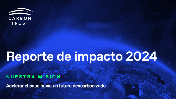 reporte de impacto