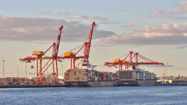Cargo boats and cranes