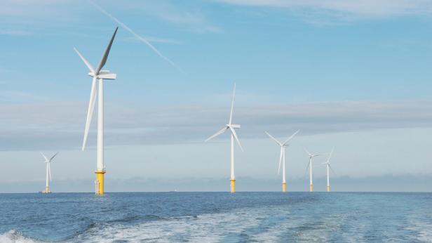 Offshore wind farm