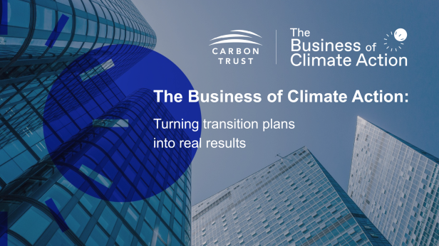The Business of Climate action - promotional banner