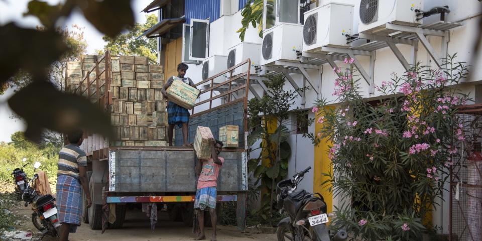 Danfoss Cooling image: India banana sellers using clean cooling