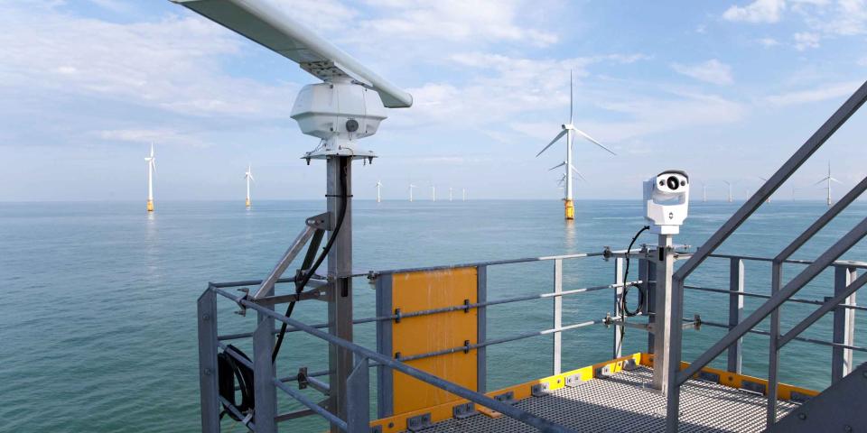 Offshore wind farm - bird collision study