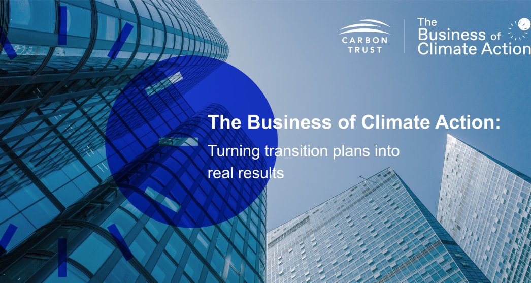 The business of climate action: Turning transition plans into real ...