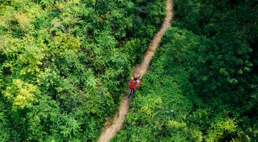Overhead view of a bike trail