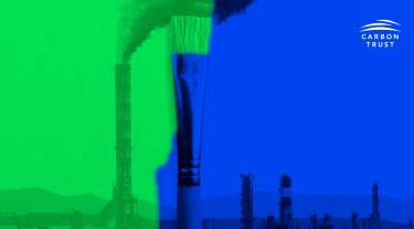 Green washing image