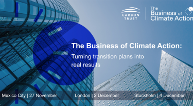 Business of climate action 
