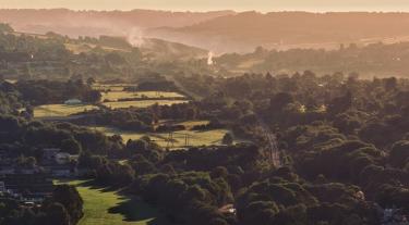 aerial view of green fields and trees