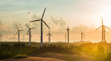 Windturbines on field
