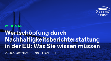 Wertschöpfung durch Nachhaltigkeitsberichterstattung in der EU: Was Sie wissen müssen 