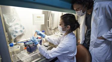 Woman and man in laboratory