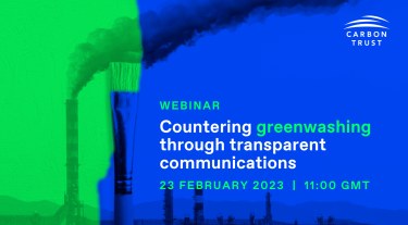 greenwashing webinar