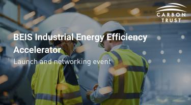 IEEA launch event 