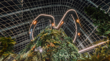 Looking up at Gardens by the Bay in Singapore