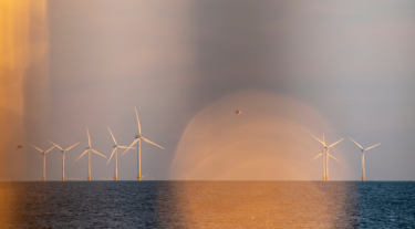 Offshore wind farm