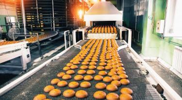 conveyor belt in a factory