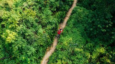 Route through trees