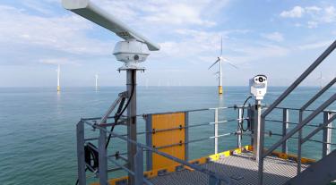 Offshore wind farm - bird collision study