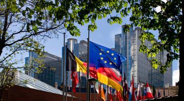 Flags EU