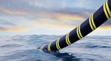 a black and yellow striped cable in the sea