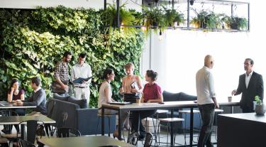 group of people working in an office in front of a vertical green living wall with lights hanging from the ceiling