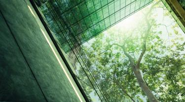 Sustainable finance