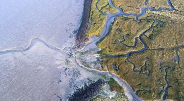 Dyke, salt marsh and coastline - aerial view