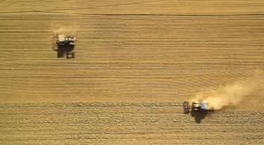agriculture