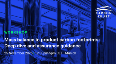 mass balance workshop