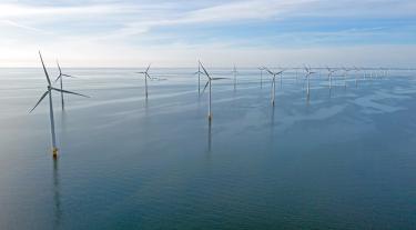 Offshore wind farm