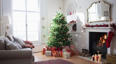 Christmas tree in living room