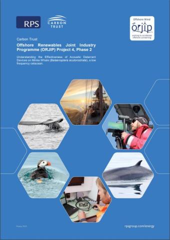 ORJIP report cover