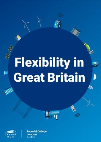 Flex GB cover