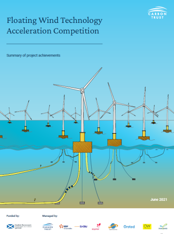 FLW JIP summary report cover
