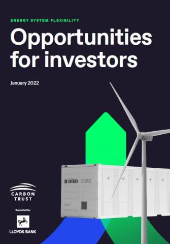 Opportunities for investors report cover