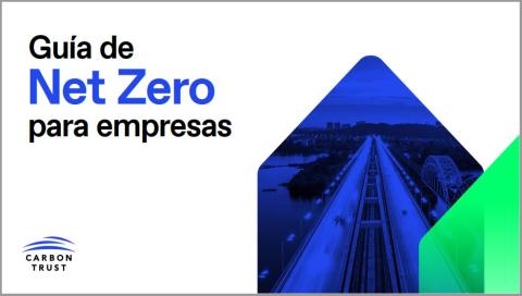 Guía de Net Zero para empresas