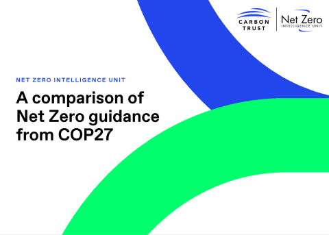 A comparison of Net Zero guidance from COP27 - cover image