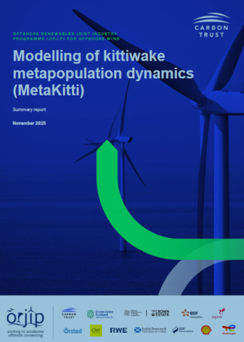 Modelling of kittiwake metapopulation dynamics (Metakitti)